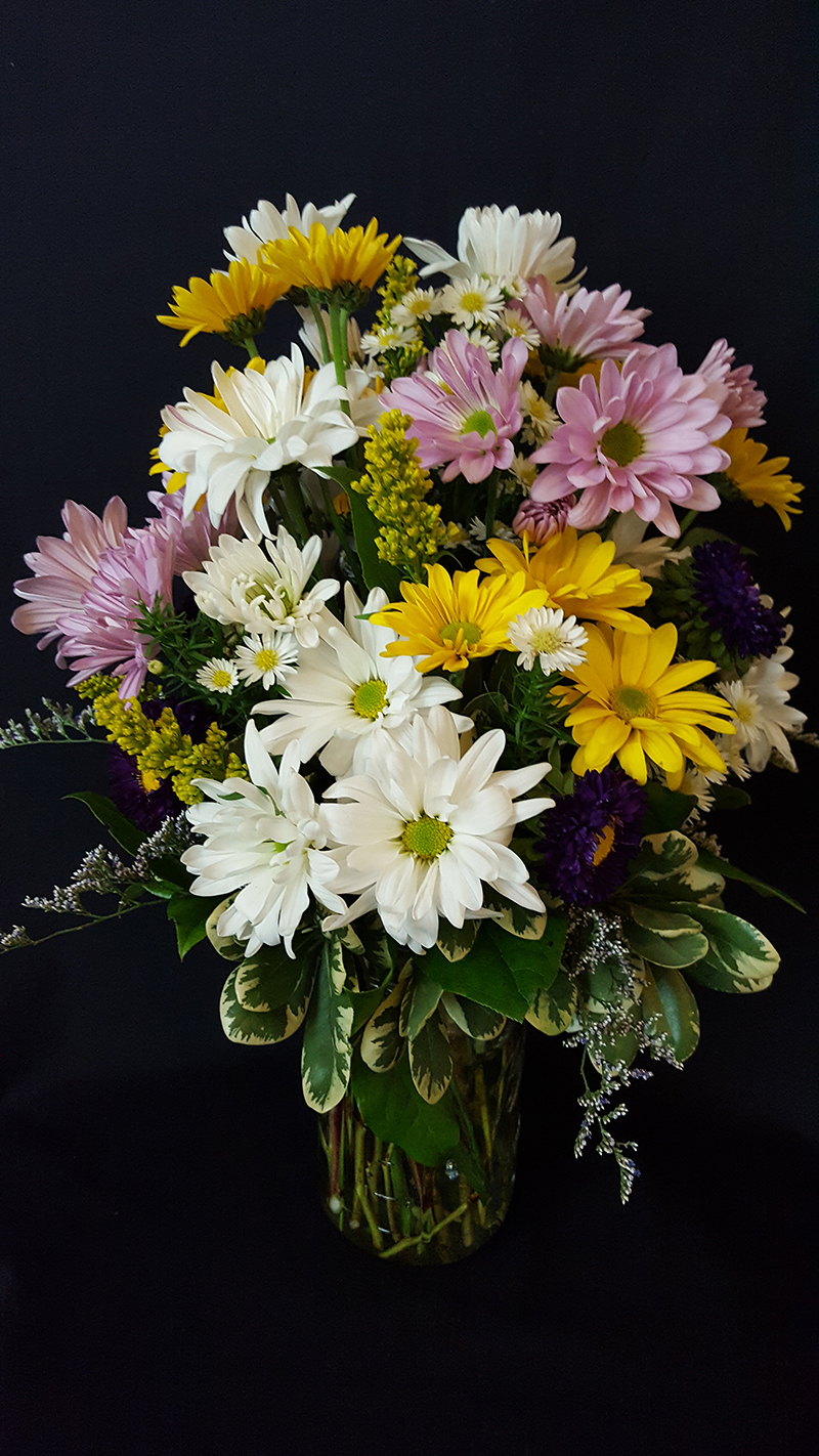 How To Take Care Of Daisies In A Vase - How Long Do Gerbera Daisies Last In A Vase